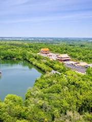 三台山森林公園-菩提寺（環山路）