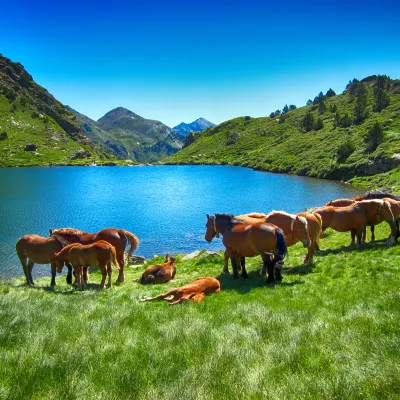 Отели рядом с достопримечательностью «Термальное спа Калдея»