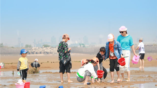 Beach Treasure Hunting in Rizhao