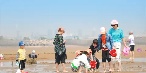日照海灘尋寶