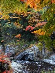 Mitake Gorge