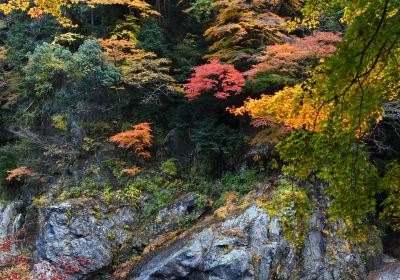 Mitake Gorge