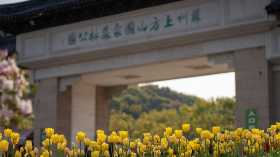蘇州上方山國家森林公園