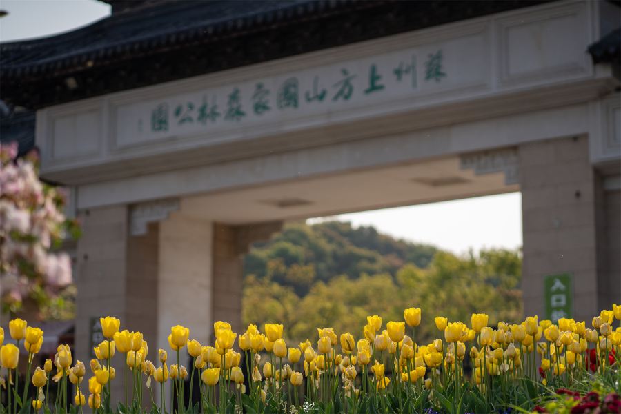 蘇州上方山國家森林公園