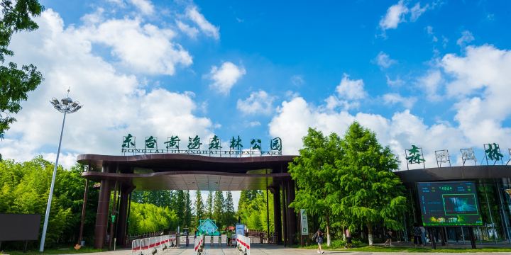 Dongtai Huanghai Forest Park