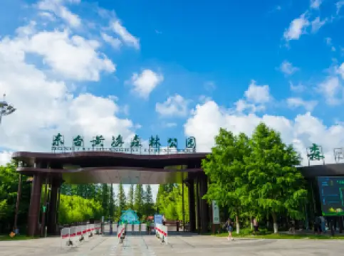 Popular Best Things to Do in Dongtai