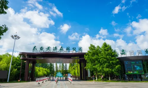 Dongtai Huanghai Forest Park