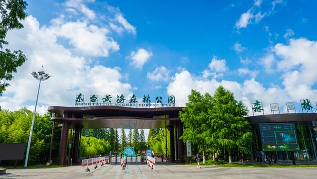 Dongtai Huanghai Forest Park