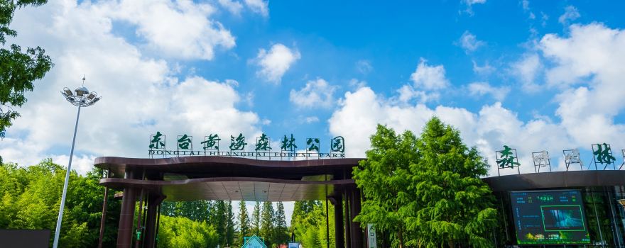 Dongtai Huanghai Forest Park