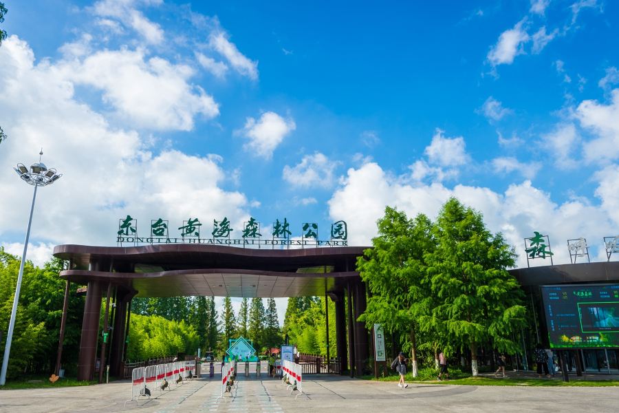 黃海森林公園