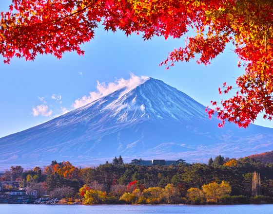 富士河口湖町 自由行套票
