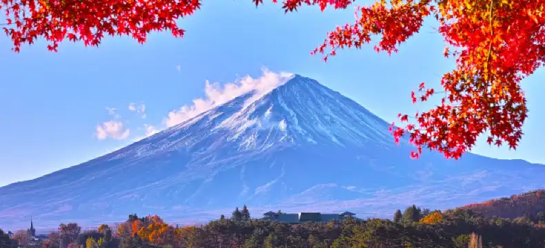 Hotels near Lake Saiko