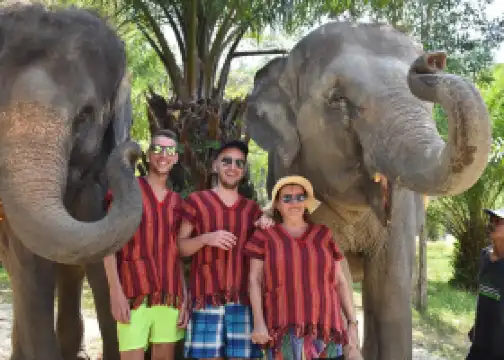 Elephant Care Park Phuket