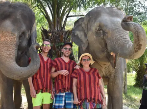 푸켓 엘리펀트 케어 파크 체험