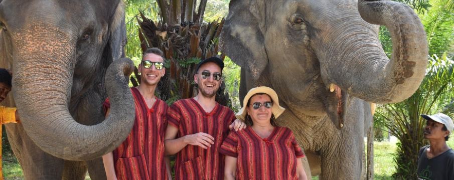 푸켓 엘리펀트 케어 파크 체험