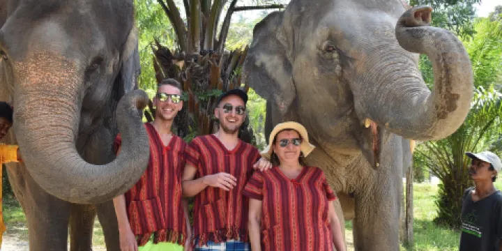 布吉島耐迪大象保護營