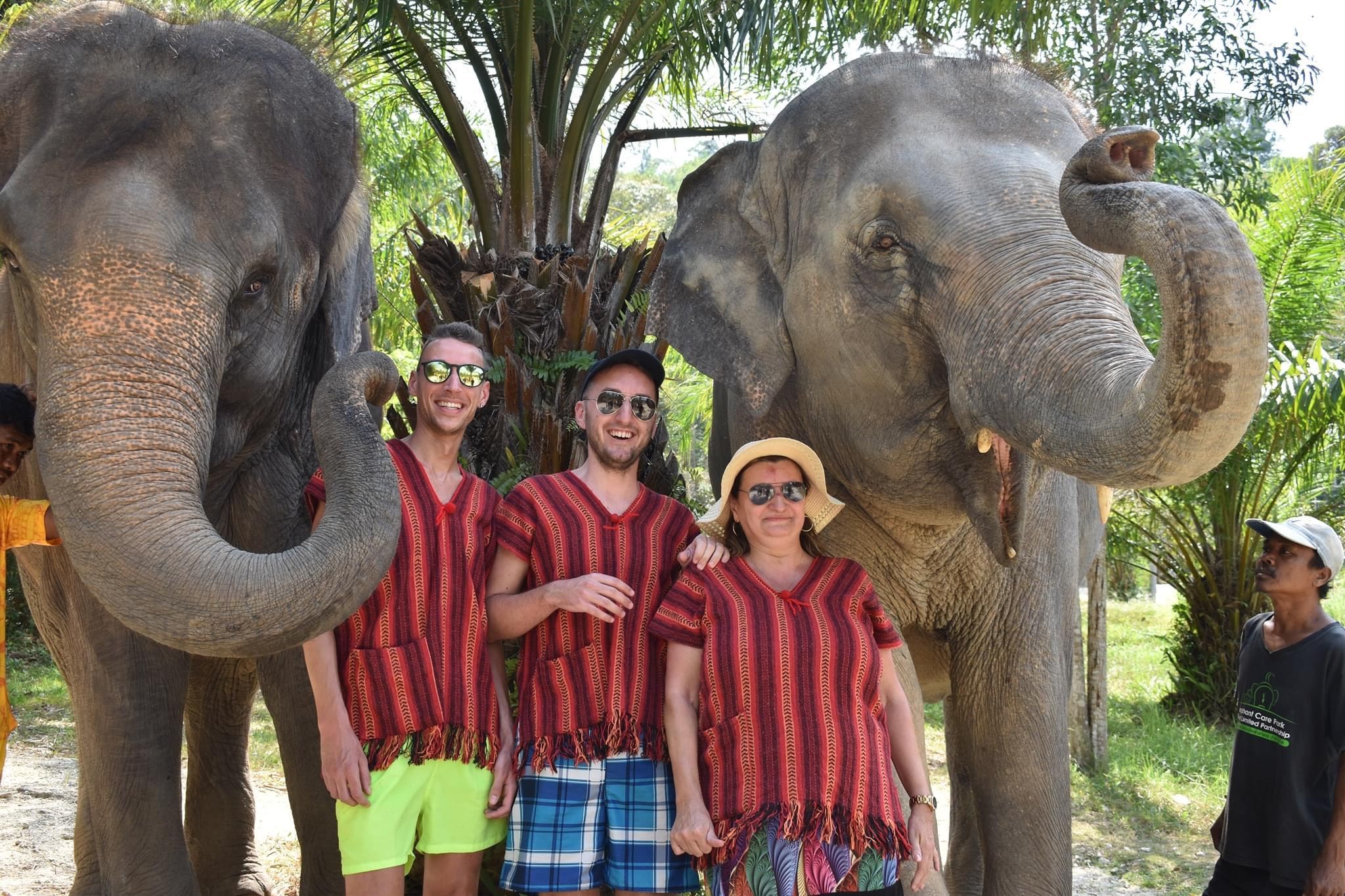 Excursión de medio día al Campamento de Protección de Elefantes de Phuket|Entrenadores en chino e inglés|Traslado en toda la isla|Edición de la mañana