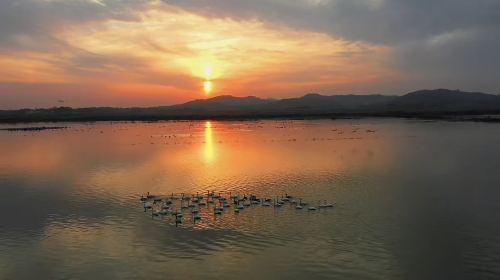 Huangpohu Marsh