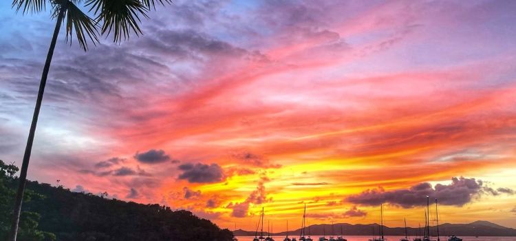 Zozo’s at Caneel Bay