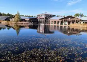 The Wild Center