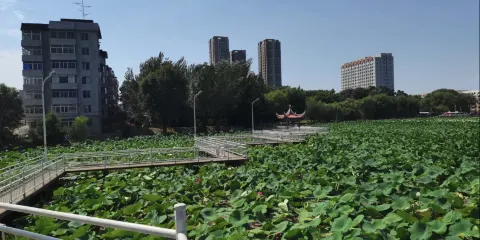 迎春公園