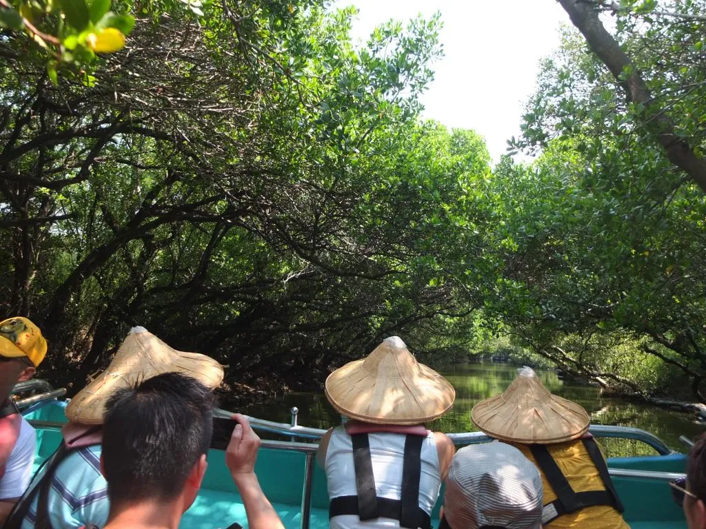 4_四草綠色隧道