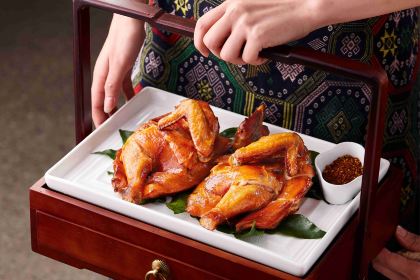 GANJIAJIE LEMON DUCK