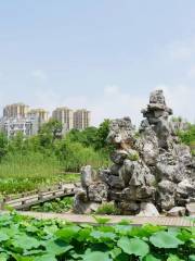 Anhui Jianhualongqi Wetland Ecological Tourism Park