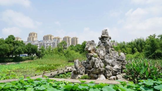 Anhui Jianhualongqi Wetland Ecological Tourism Park