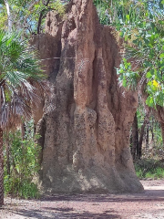 Wadbilliga National Park, New South Wales, Australia