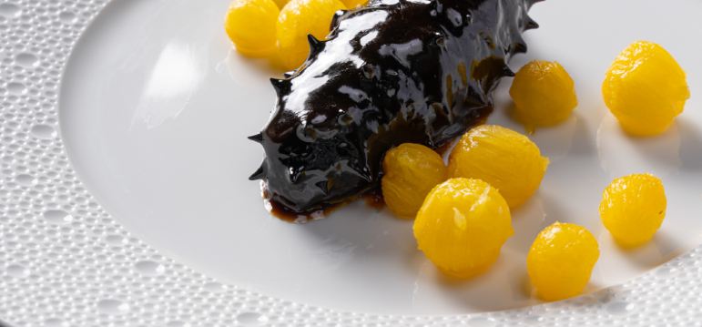 Welcome Suica&JR Line One Day Pass (Pick up at Haneda Airport)