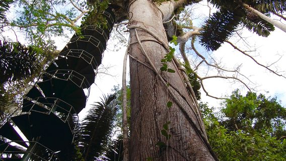 Panama Rainforest Discovery Center
