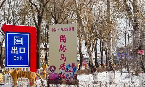 Heilongjiang Tiger Park International Circus City
