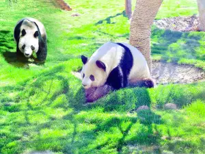 Linyi Zoological Botanical Garden