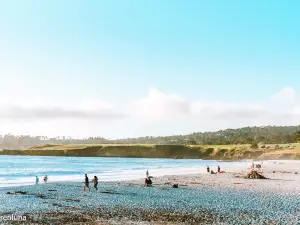Trải nghiệm nổi bật Phổ Biến Tại Carmel-by-the-Sea