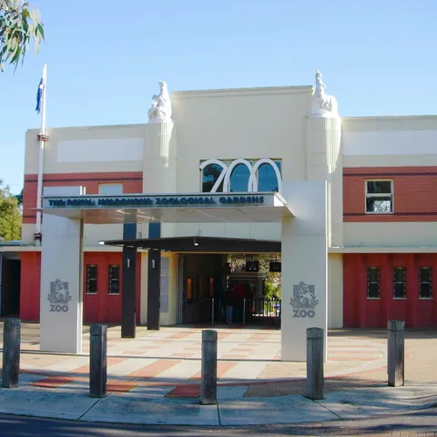 diamond village fish box watsonia vic The Fishville Luxury Collection THE BEST 10 FISH &