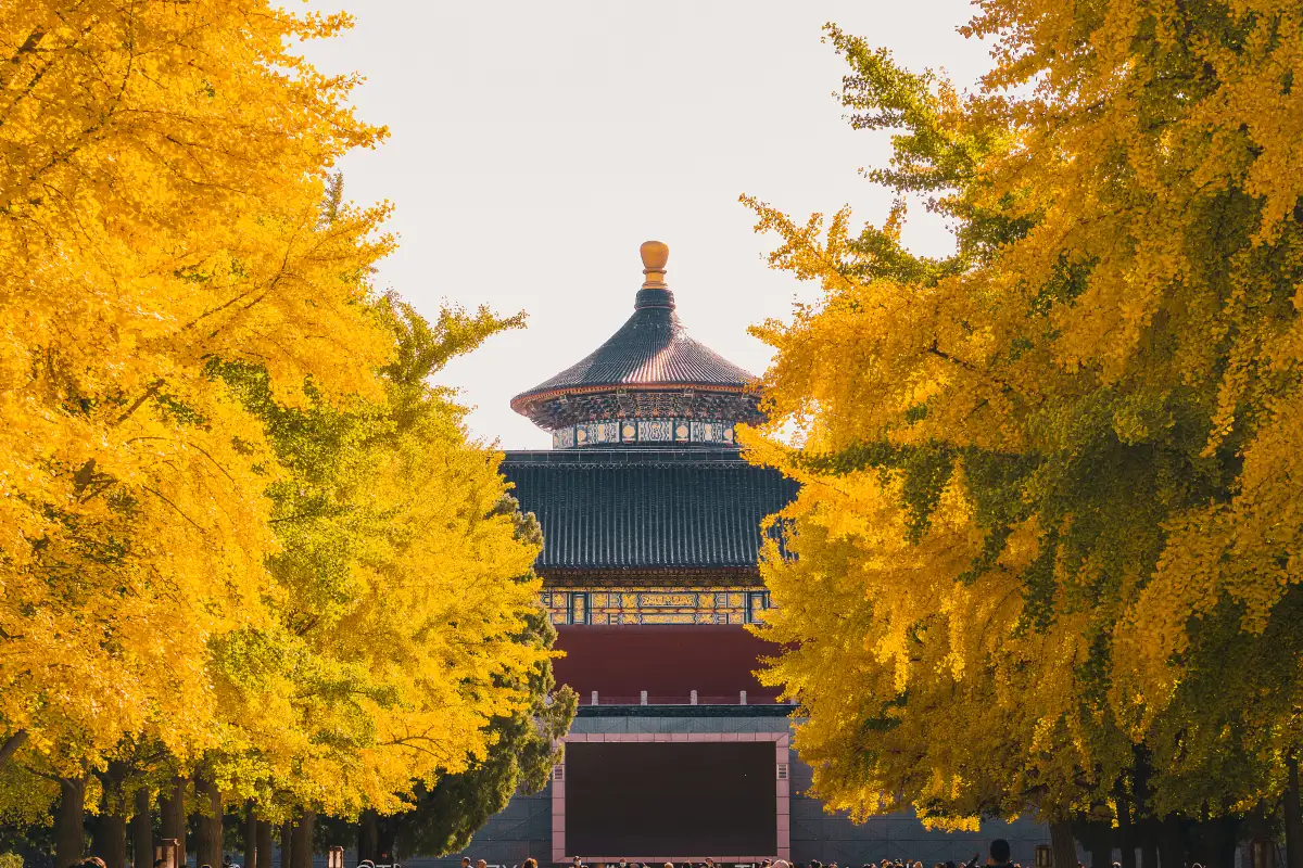 중국 관광지 예약 기본 절차