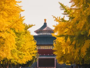 천단 공원