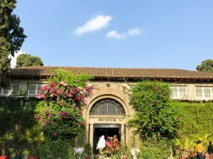 Taxila Museum