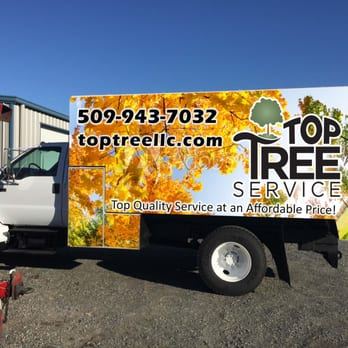 Top Tree Service