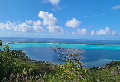 ʻĀmanahune