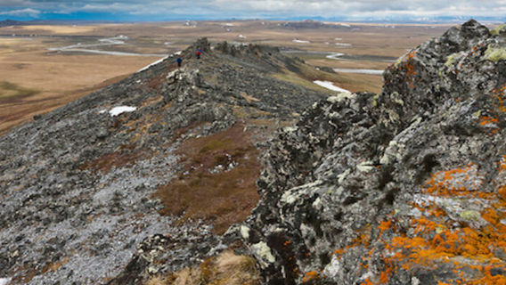 National Petroleum Reserve Alaska
