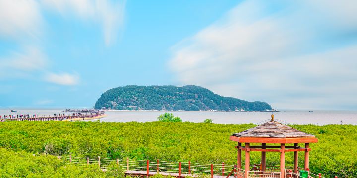 하이링다오(해릉도) 맹그로브 국가 습지 공원