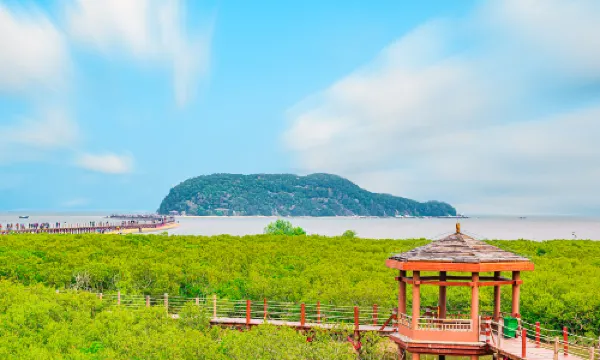 อุทยานแห่งชาติป่าชายเลนเกาะไหหลิง