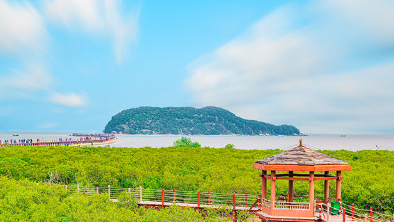 Hailing Island National Wetland Park of Mangrove Forest