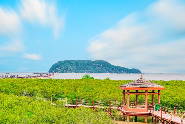 하이링다오(해릉도) 맹그로브 국가 습지 공원