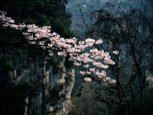 清江方山風景區