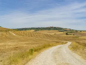 Popular Fall Viewing Attractions in Tuscany