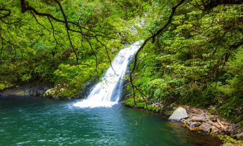 Longtan Waterfall, Jinggang Mountain