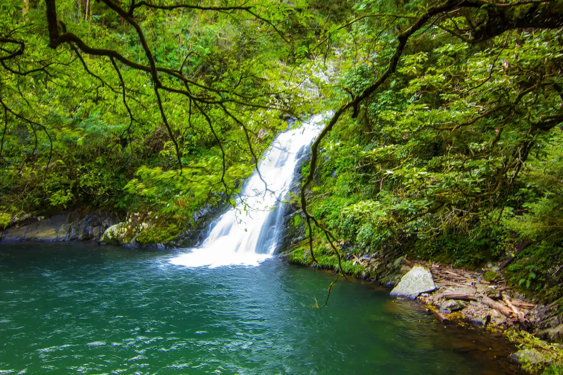 Hotels near Longtan Waterfall, Jinggang Mountain